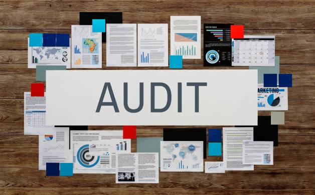 AUDIT OPINION 審計意見
