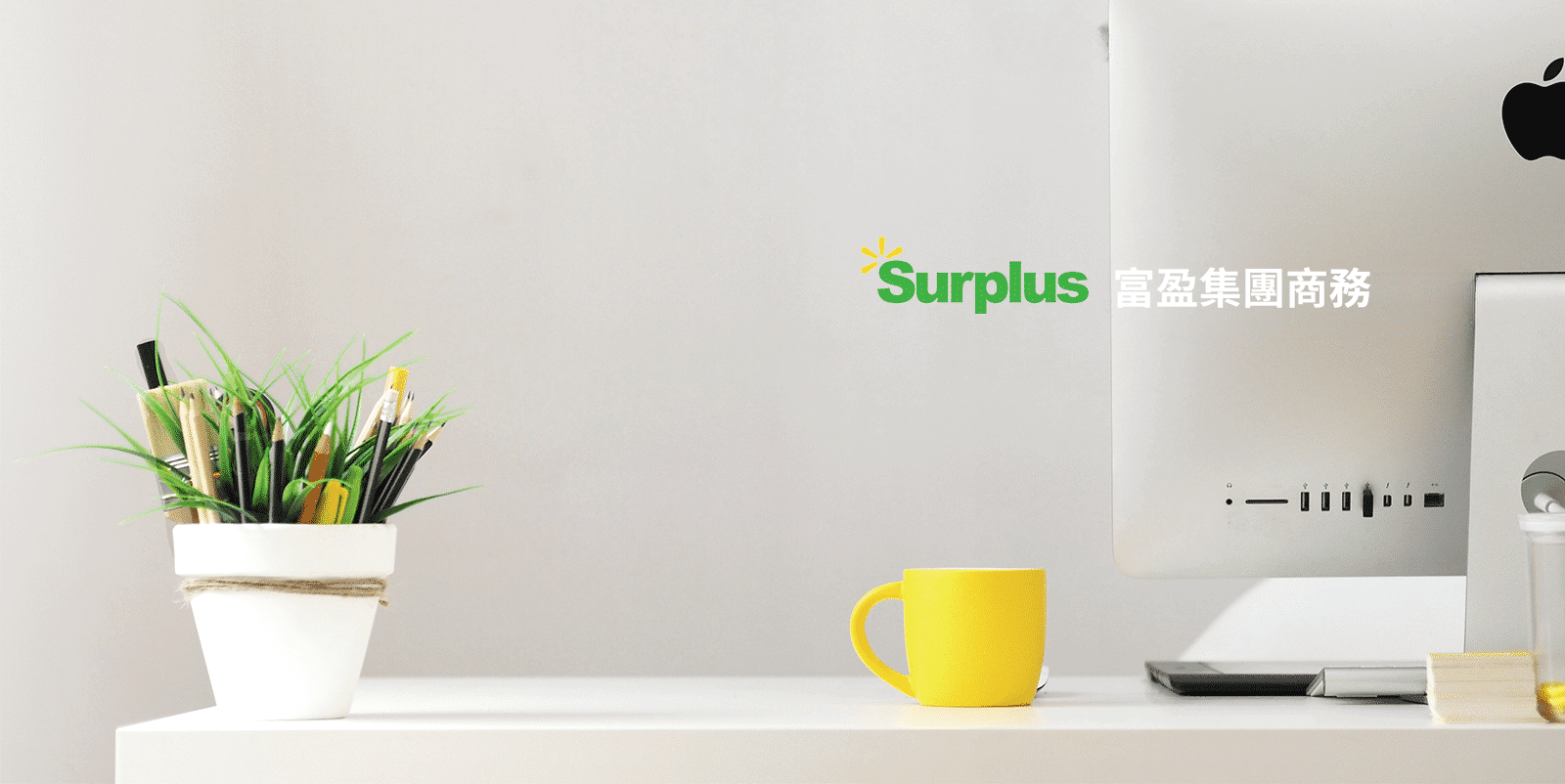 Surplus Business